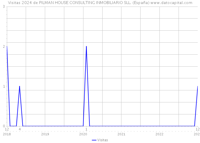 Visitas 2024 de PILMAN HOUSE CONSULTING INMOBILIARIO SLL. (España) 