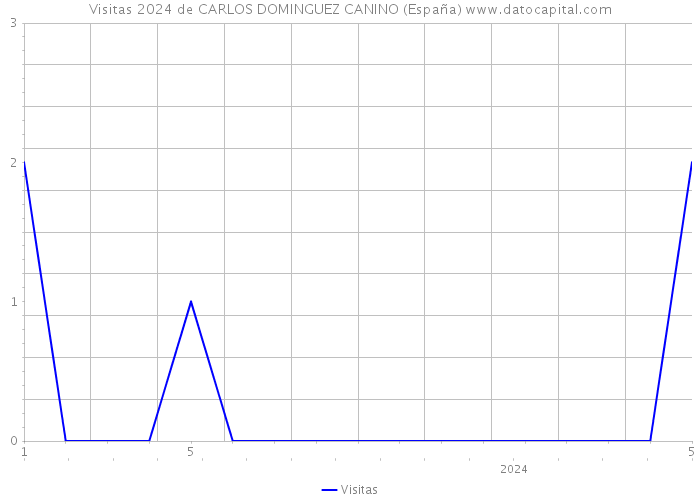 Visitas 2024 de CARLOS DOMINGUEZ CANINO (España) 