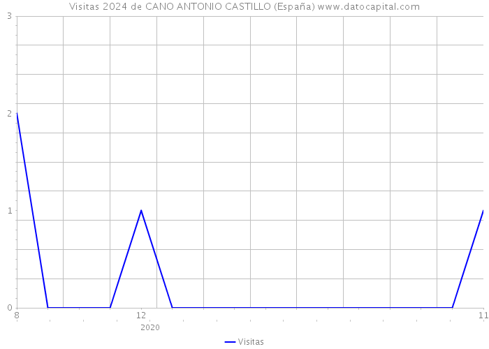 Visitas 2024 de CANO ANTONIO CASTILLO (España) 