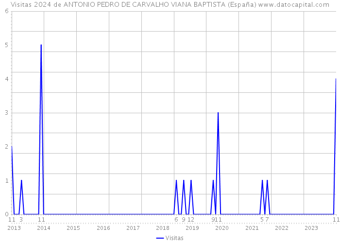 Visitas 2024 de ANTONIO PEDRO DE CARVALHO VIANA BAPTISTA (España) 