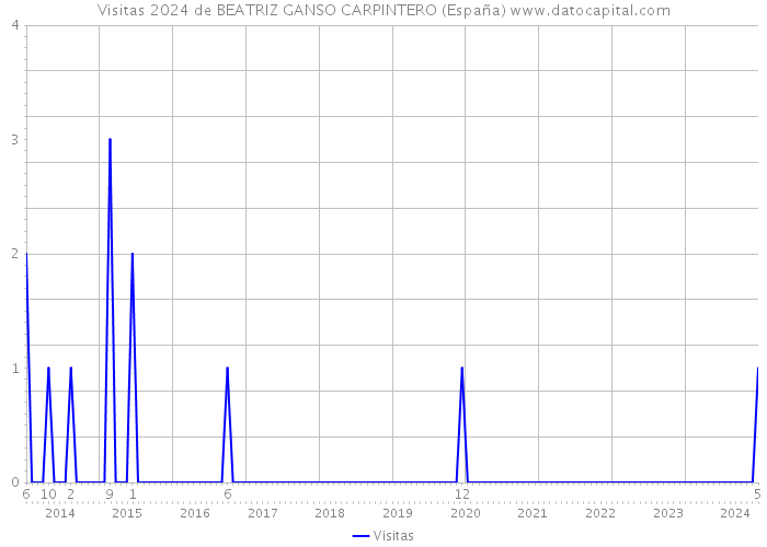 Visitas 2024 de BEATRIZ GANSO CARPINTERO (España) 