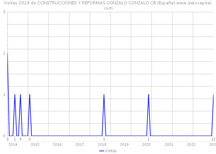 Visitas 2024 de CONSTRUCCIONES Y REFORMAS GONZALO GONZALO CB (España) 