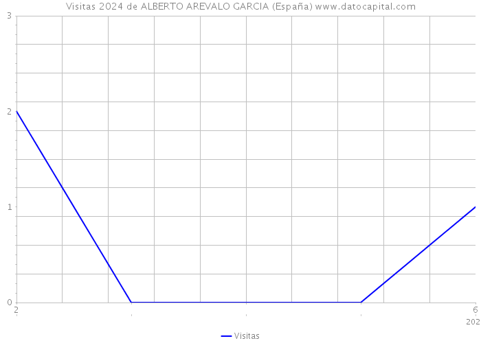 Visitas 2024 de ALBERTO AREVALO GARCIA (España) 
