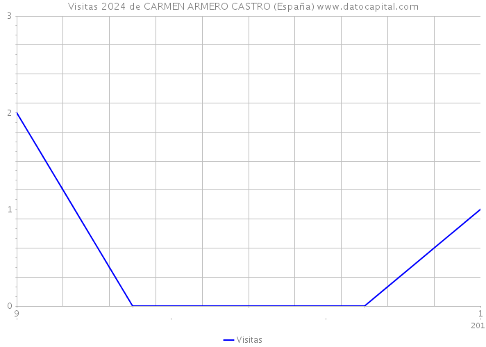 Visitas 2024 de CARMEN ARMERO CASTRO (España) 