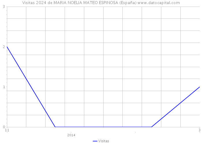 Visitas 2024 de MARIA NOELIA MATEO ESPINOSA (España) 