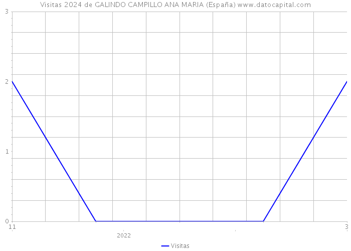 Visitas 2024 de GALINDO CAMPILLO ANA MARIA (España) 