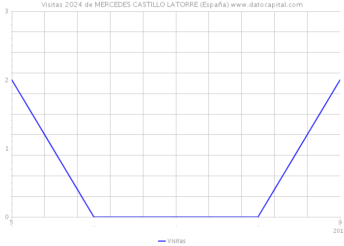 Visitas 2024 de MERCEDES CASTILLO LATORRE (España) 