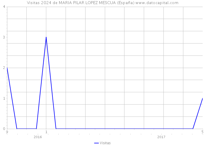 Visitas 2024 de MARIA PILAR LOPEZ MESCUA (España) 