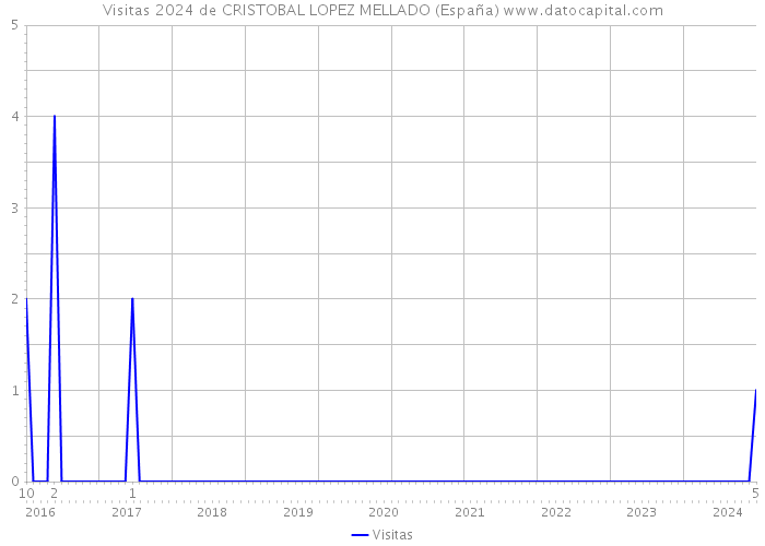 Visitas 2024 de CRISTOBAL LOPEZ MELLADO (España) 