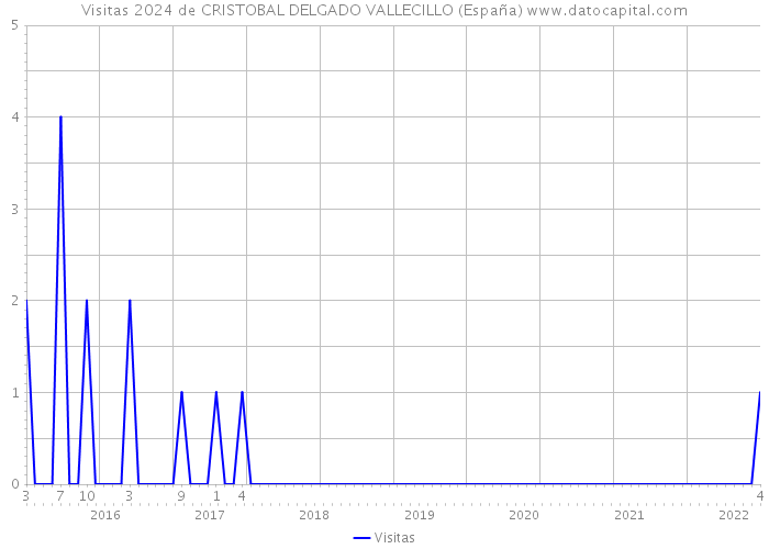 Visitas 2024 de CRISTOBAL DELGADO VALLECILLO (España) 