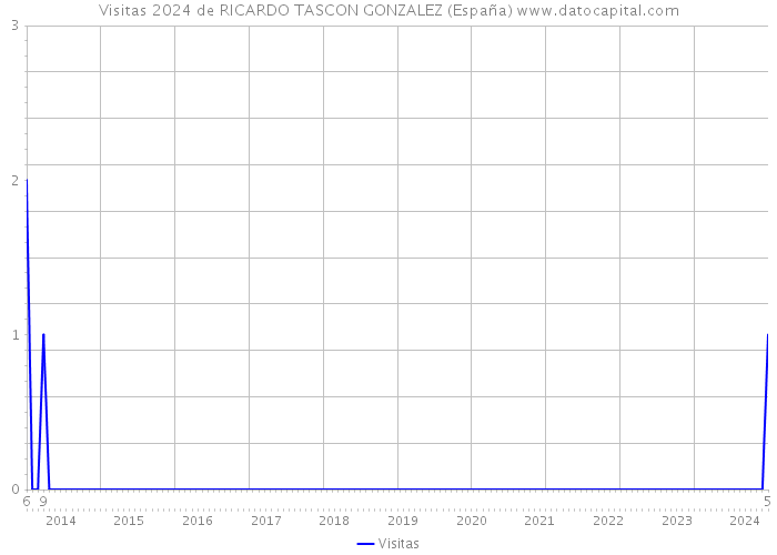 Visitas 2024 de RICARDO TASCON GONZALEZ (España) 