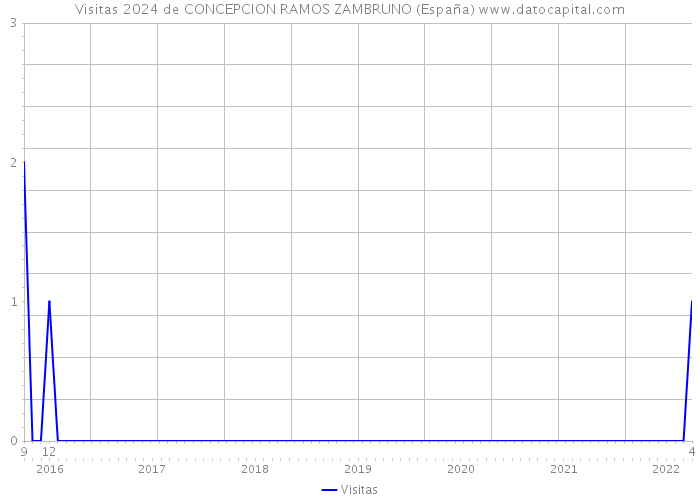 Visitas 2024 de CONCEPCION RAMOS ZAMBRUNO (España) 