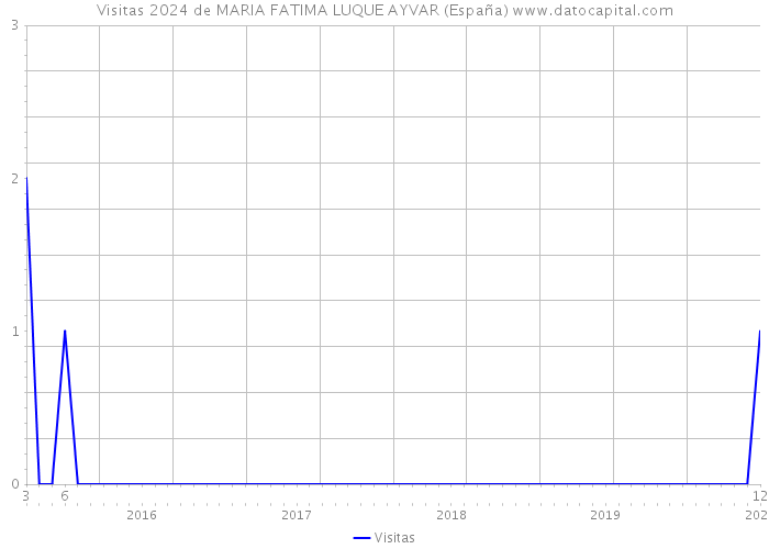 Visitas 2024 de MARIA FATIMA LUQUE AYVAR (España) 