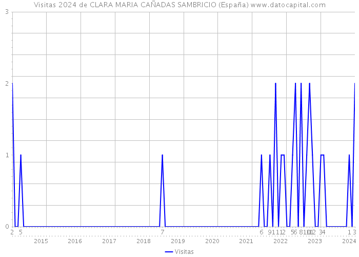 Visitas 2024 de CLARA MARIA CAÑADAS SAMBRICIO (España) 