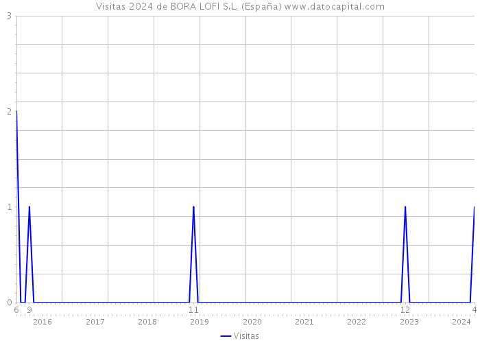 Visitas 2024 de BORA LOFI S.L. (España) 