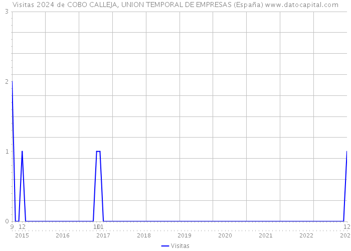 Visitas 2024 de COBO CALLEJA, UNION TEMPORAL DE EMPRESAS (España) 