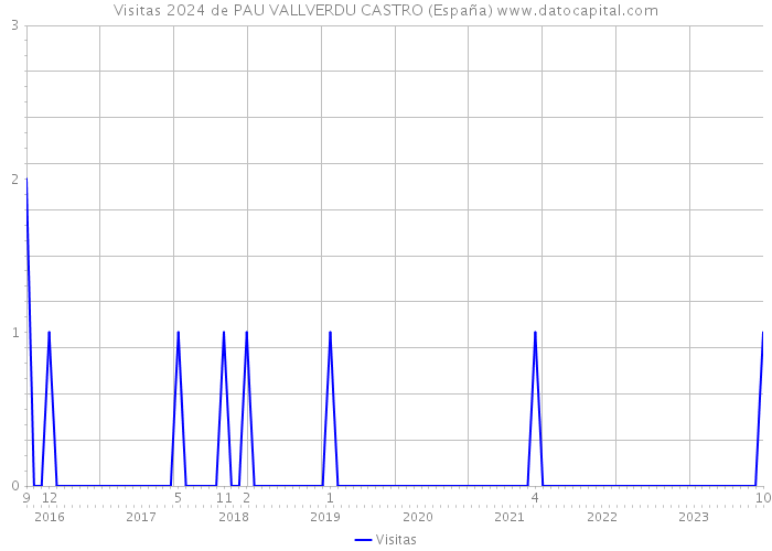 Visitas 2024 de PAU VALLVERDU CASTRO (España) 
