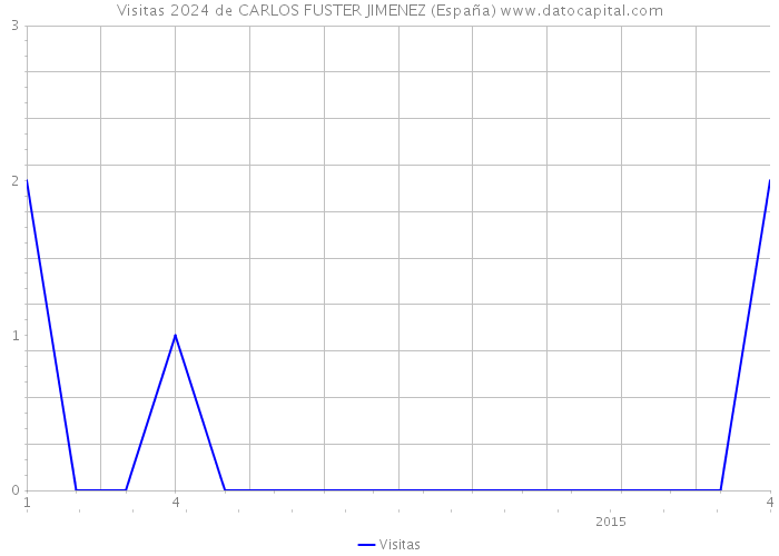 Visitas 2024 de CARLOS FUSTER JIMENEZ (España) 