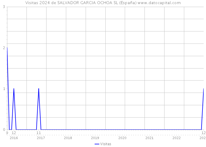 Visitas 2024 de SALVADOR GARCIA OCHOA SL (España) 