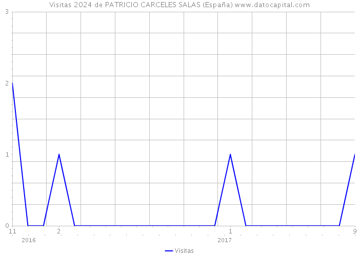 Visitas 2024 de PATRICIO CARCELES SALAS (España) 