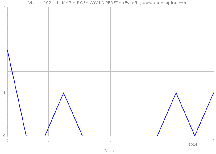 Visitas 2024 de MARIA ROSA AYALA PEREDA (España) 