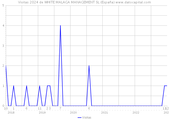 Visitas 2024 de WHITE MALAGA MANAGEMENT SL (España) 