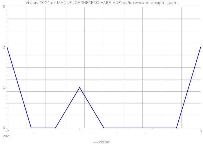 Visitas 2024 de MANUEL CARNERERO HABELA (España) 