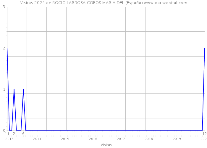 Visitas 2024 de ROCIO LARROSA COBOS MARIA DEL (España) 