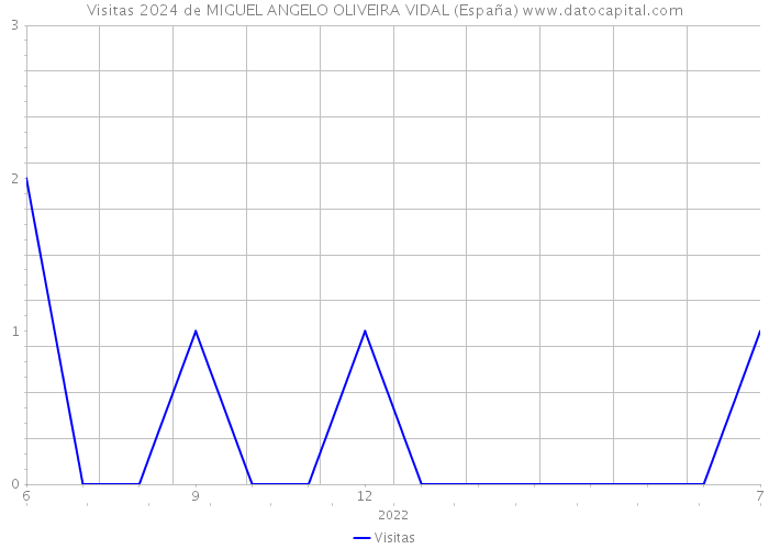 Visitas 2024 de MIGUEL ANGELO OLIVEIRA VIDAL (España) 