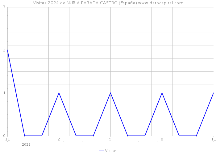 Visitas 2024 de NURIA PARADA CASTRO (España) 