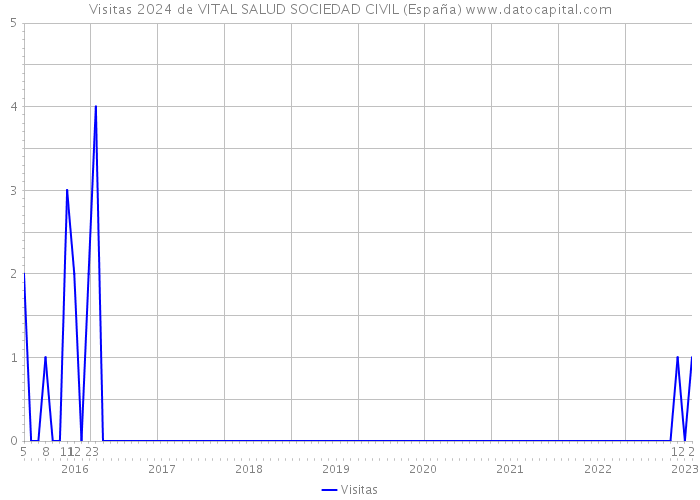 Visitas 2024 de VITAL SALUD SOCIEDAD CIVIL (España) 