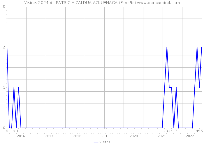 Visitas 2024 de PATRICIA ZALDUA AZKUENAGA (España) 