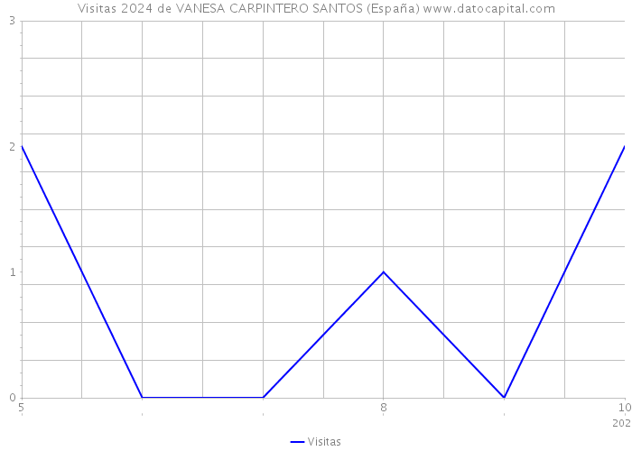 Visitas 2024 de VANESA CARPINTERO SANTOS (España) 