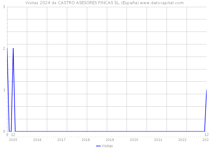 Visitas 2024 de CASTRO ASESORES FINCAS SL. (España) 