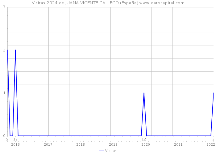 Visitas 2024 de JUANA VICENTE GALLEGO (España) 