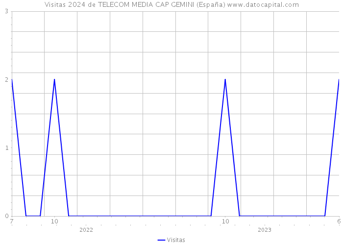 Visitas 2024 de TELECOM MEDIA CAP GEMINI (España) 