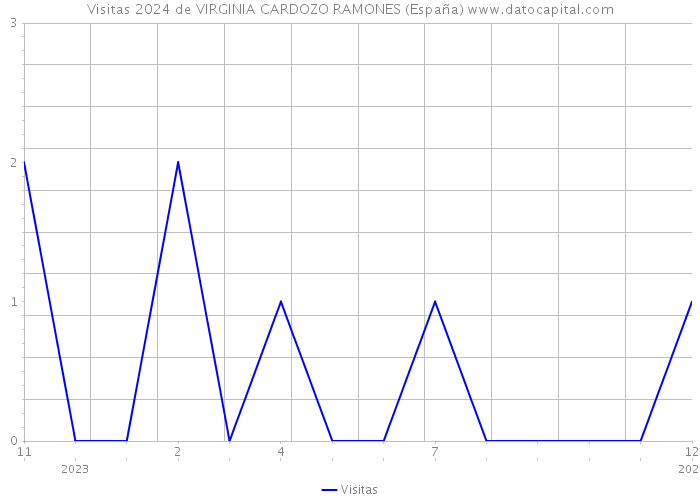 Visitas 2024 de VIRGINIA CARDOZO RAMONES (España) 
