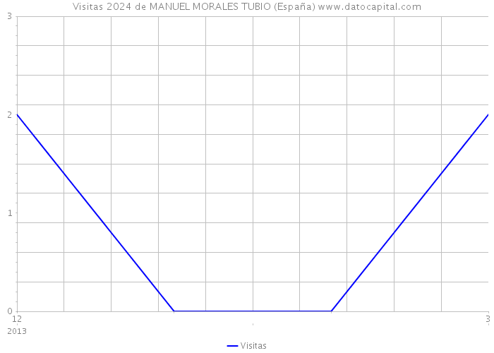 Visitas 2024 de MANUEL MORALES TUBIO (España) 