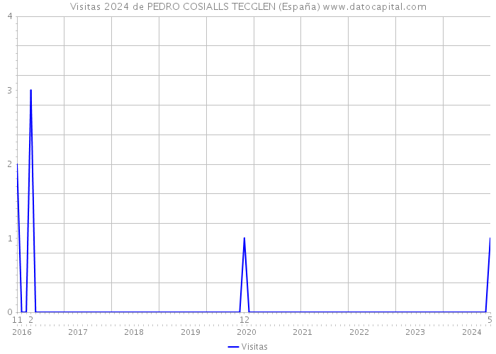 Visitas 2024 de PEDRO COSIALLS TECGLEN (España) 