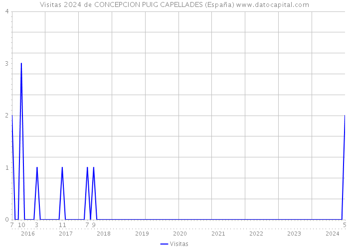 Visitas 2024 de CONCEPCION PUIG CAPELLADES (España) 