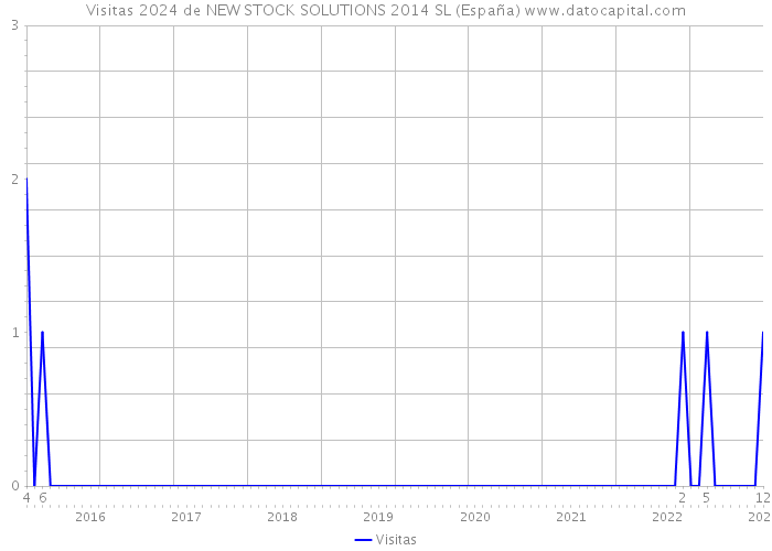 Visitas 2024 de NEW STOCK SOLUTIONS 2014 SL (España) 