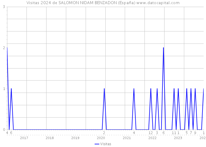 Visitas 2024 de SALOMON NIDAM BENZADON (España) 