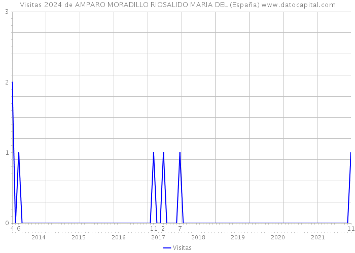 Visitas 2024 de AMPARO MORADILLO RIOSALIDO MARIA DEL (España) 