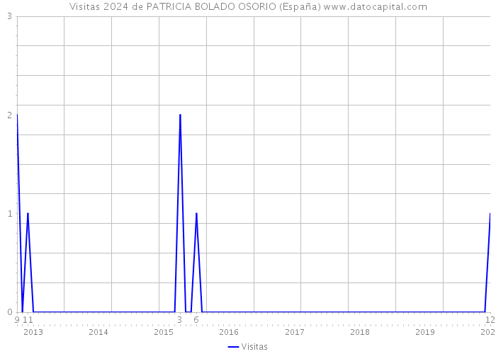 Visitas 2024 de PATRICIA BOLADO OSORIO (España) 