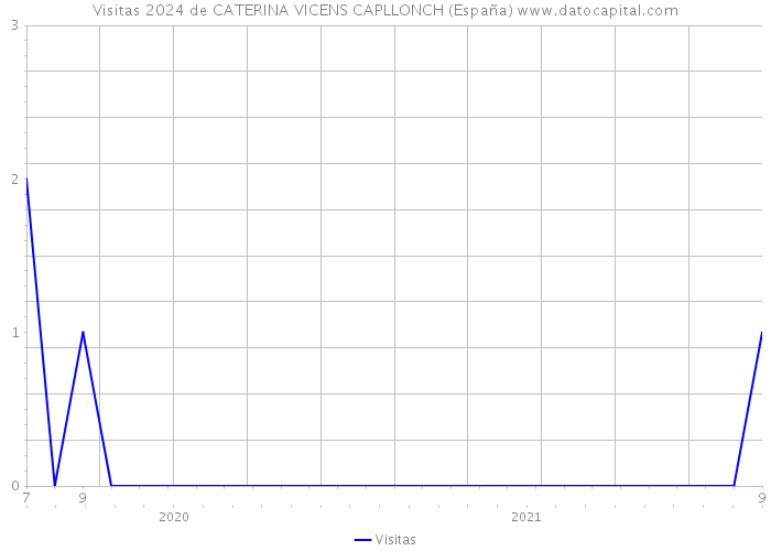 Visitas 2024 de CATERINA VICENS CAPLLONCH (España) 