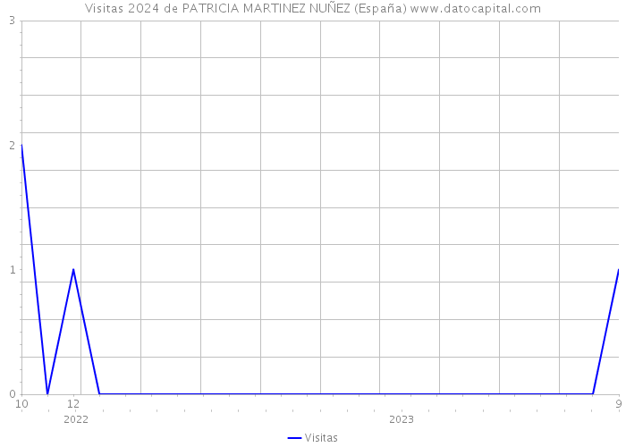 Visitas 2024 de PATRICIA MARTINEZ NUÑEZ (España) 
