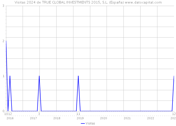 Visitas 2024 de TRUE GLOBAL INVESTMENTS 2015, S.L. (España) 