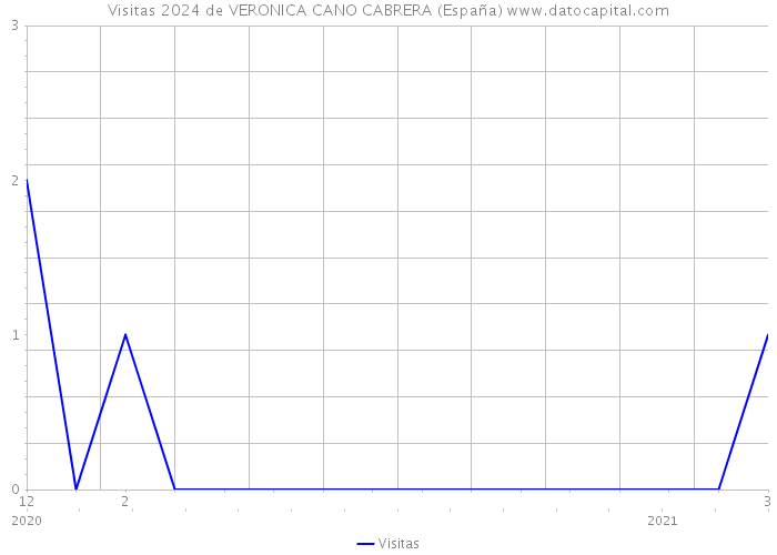 Visitas 2024 de VERONICA CANO CABRERA (España) 
