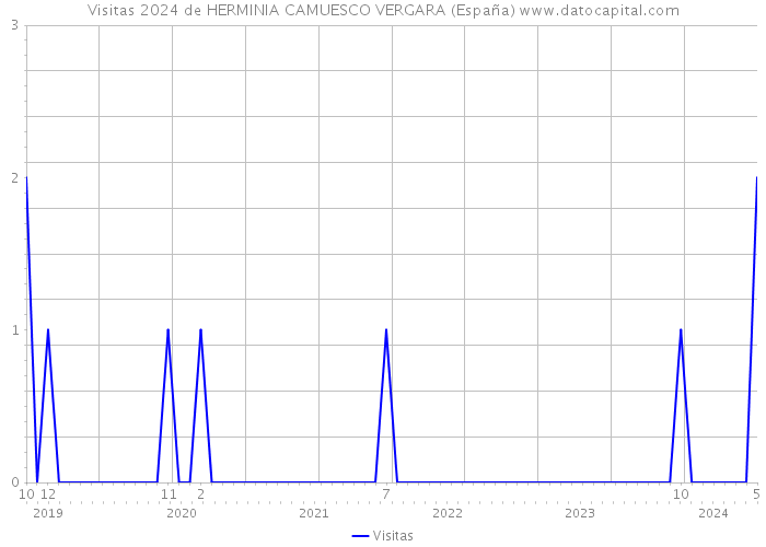Visitas 2024 de HERMINIA CAMUESCO VERGARA (España) 