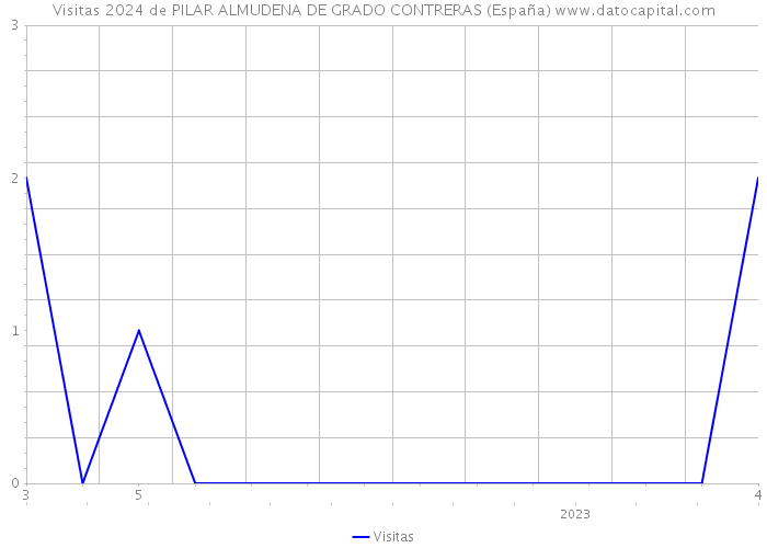 Visitas 2024 de PILAR ALMUDENA DE GRADO CONTRERAS (España) 